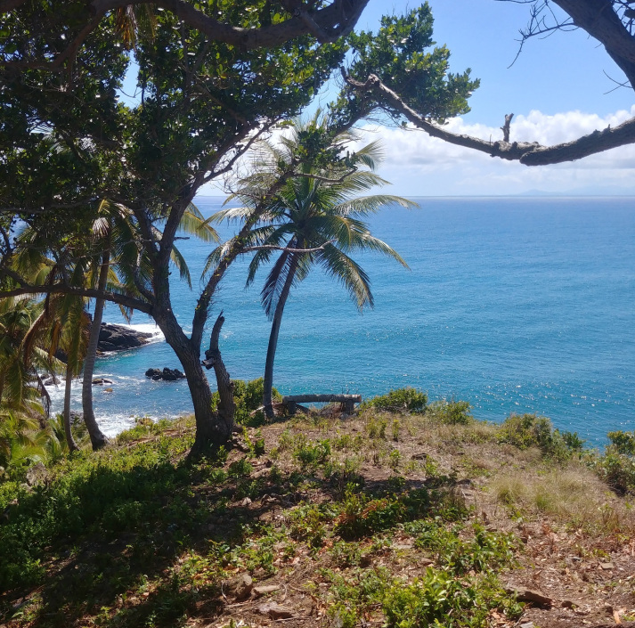 Loma de la Piña, Samana.